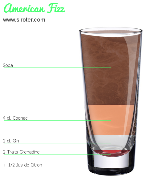 Recette Cocktail AMERICAN FIZZ Cocktail AMERICAN FIZZ