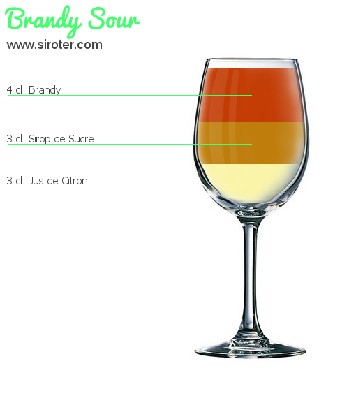 Recette Cocktail BRANDY SOUR Cocktail BRANDY SOUR