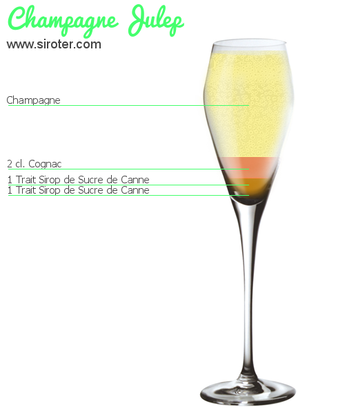 Recette Cocktail CHAMPAGNE JULEP Cocktail CHAMPAGNE JULEP