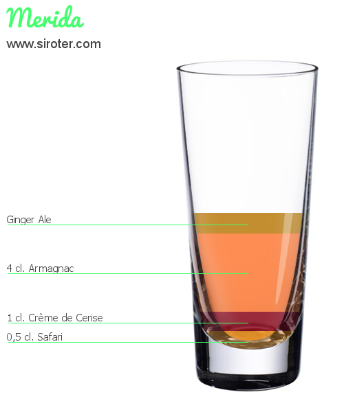 Recette Cocktail GIN Cocktail GIN