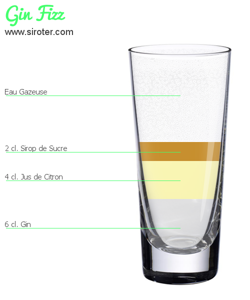 Recette Cocktail GIN FIZZ Cocktail GIN FIZZ