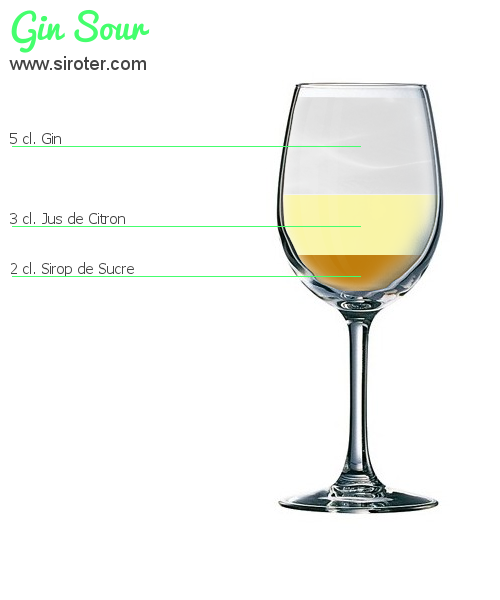 Recette Cocktail GIN SOUR Cocktail GIN SOUR