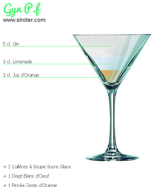 Recette Cocktail GYN P.F Cocktail GYN P.F