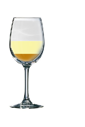 Photo Cocktail GIN SOUR Cocktail GIN SOUR