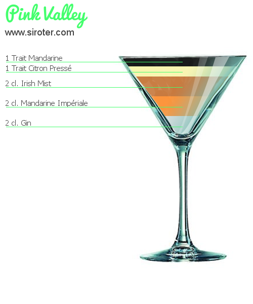 Recette Cocktail PINK VALLEY Cocktail PINK VALLEY