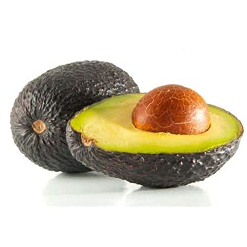 Ingrédient pour cocktail : Avocat mixé