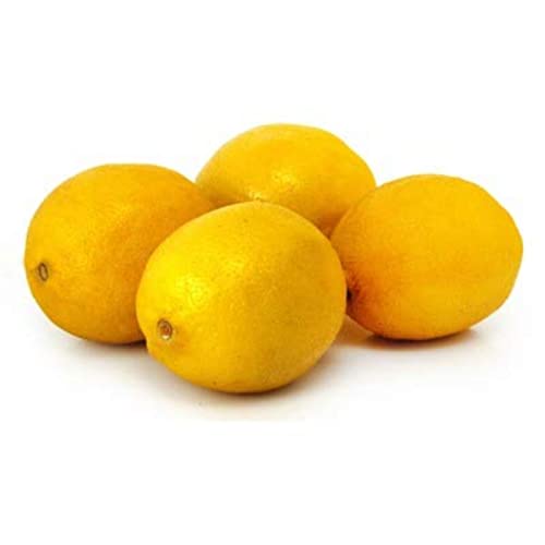 Ingrédient pour cocktail : Citrons