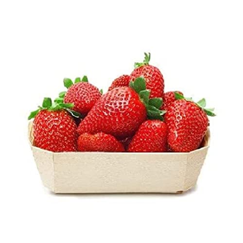 Ingrédient pour cocktail : Fraises