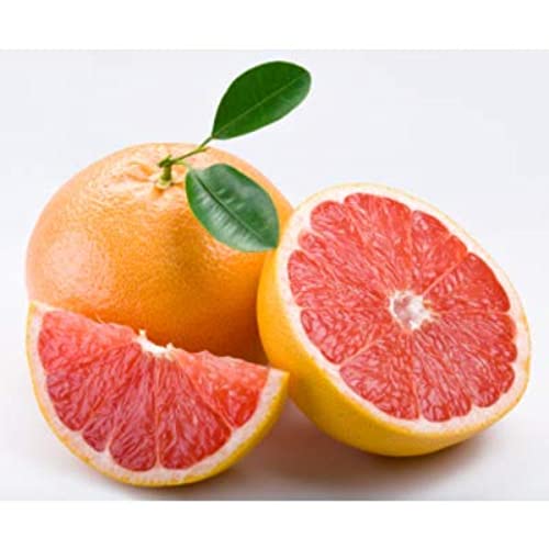 Ingrédient pour cocktail : Pamplemousses