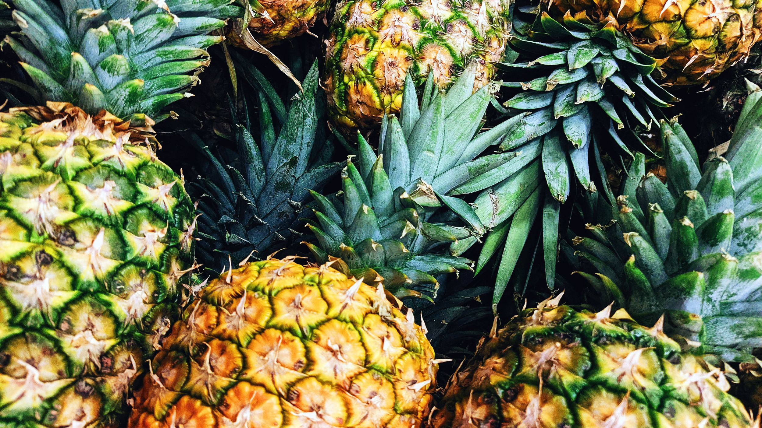Ananas Tepache