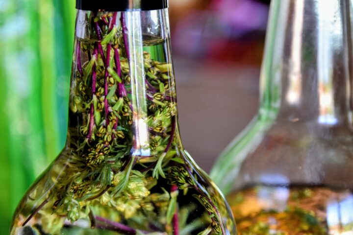 Genepi Cocktails