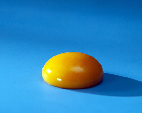 jaune oeuf