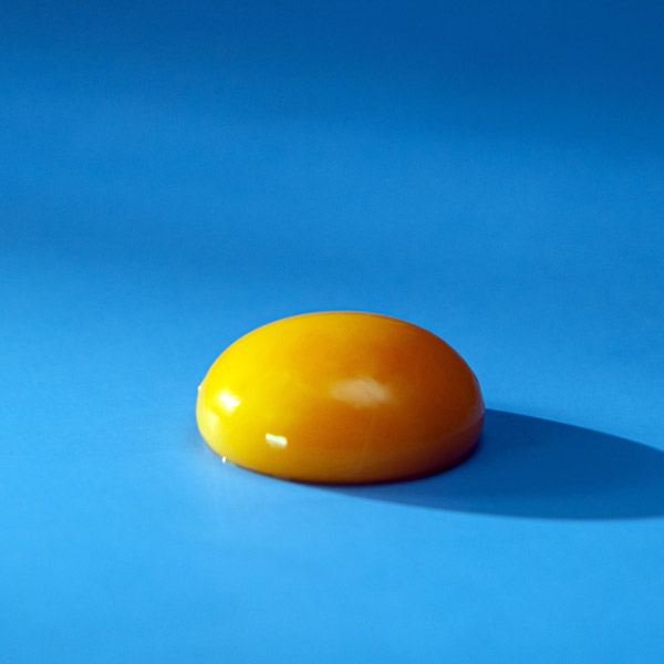 jaune oeuf