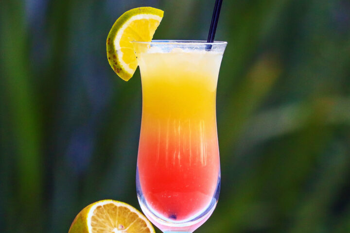 Killer Bee Punch