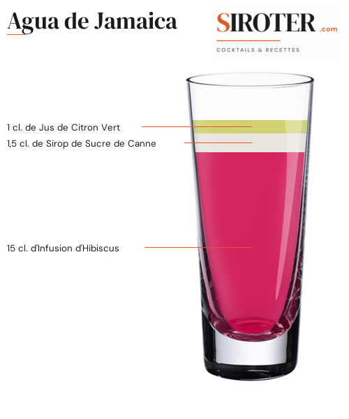 Fiche Cocktail – Agua De Jamaica