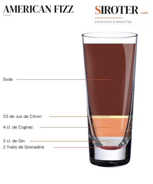 Fiche Cocktail – American Fizz