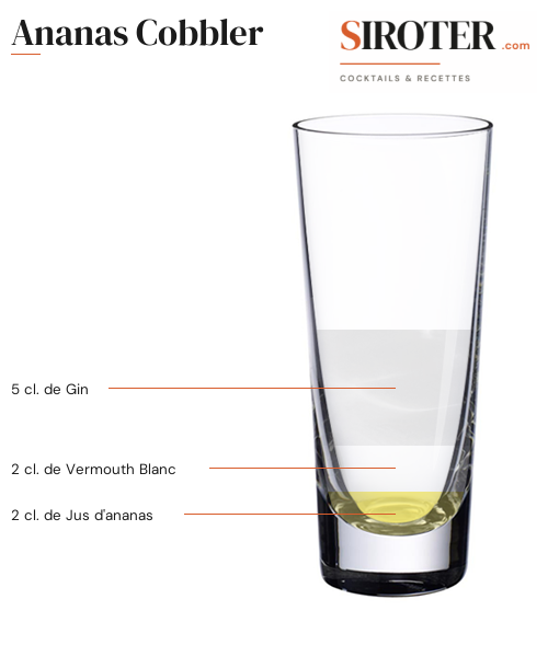 Fiche Cocktail – Ananas Cobbler