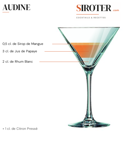 Fiche Cocktail – Audine
