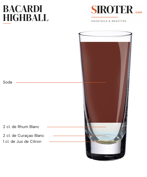 Fiche Cocktail – Bacardi Highball