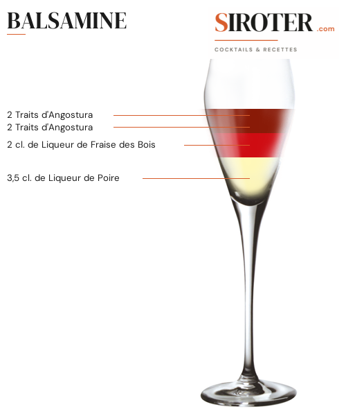 Fiche Cocktail – Balsamine
