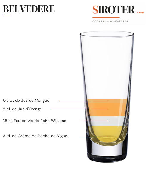 Fiche Cocktail – Belvedere