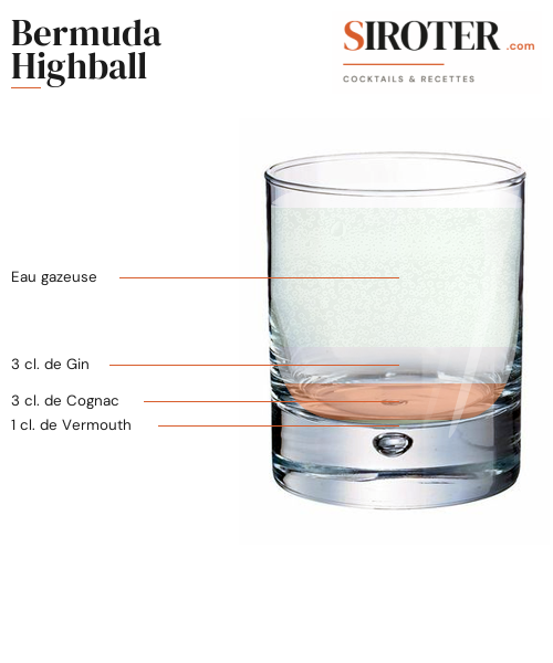Fiche Cocktail – Bermuda Highball