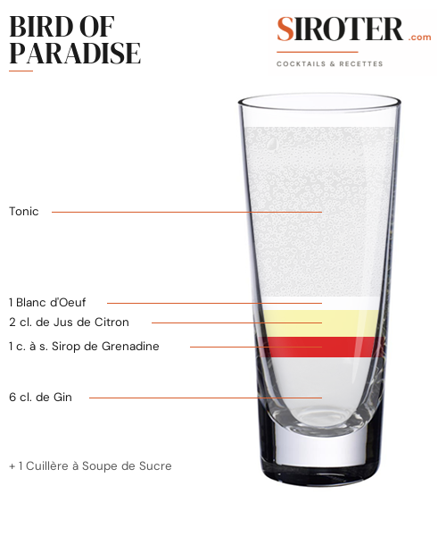 Fiche Cocktail – Bird Of Paradise