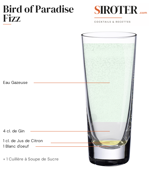 Fiche Cocktail – Bird Of Paradise Fizz