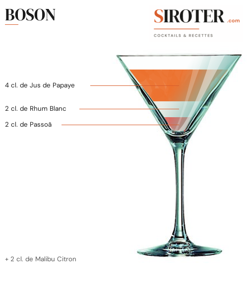 Fiche Cocktail – Boson