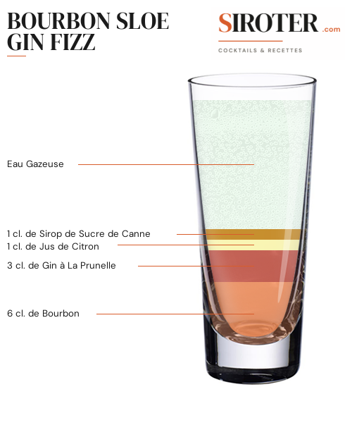 Fiche Cocktail – Bourbon Sloe Gin Fizz