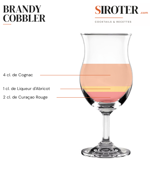 Fiche Cocktail – Brandy Cobbler