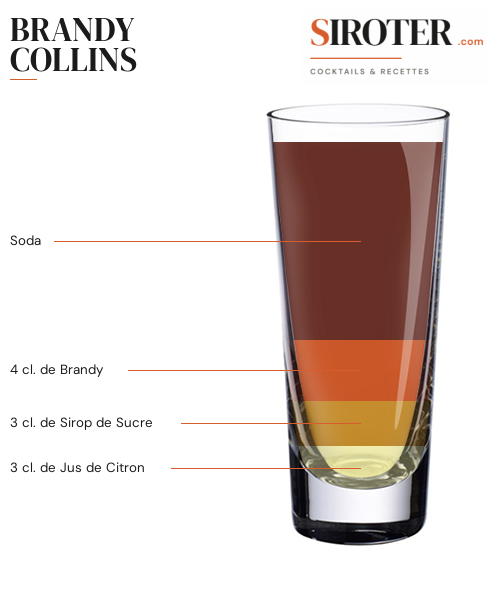 Fiche Cocktail – Brandy Collins