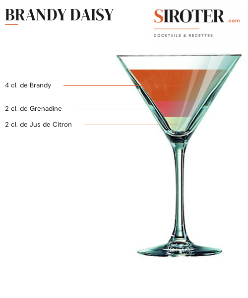 Fiche Cocktail – Brandy Daisy