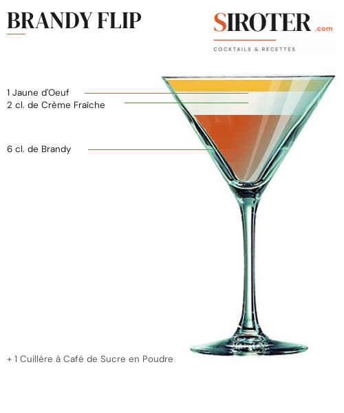 Fiche Cocktail – Brandy Flip