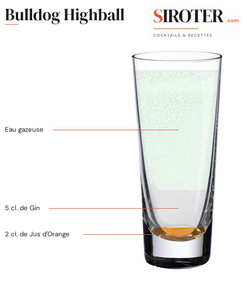 Fiche Cocktail – Bulldog Highball