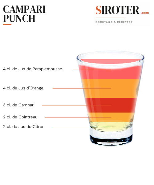 Fiche Cocktail – Campari Punch