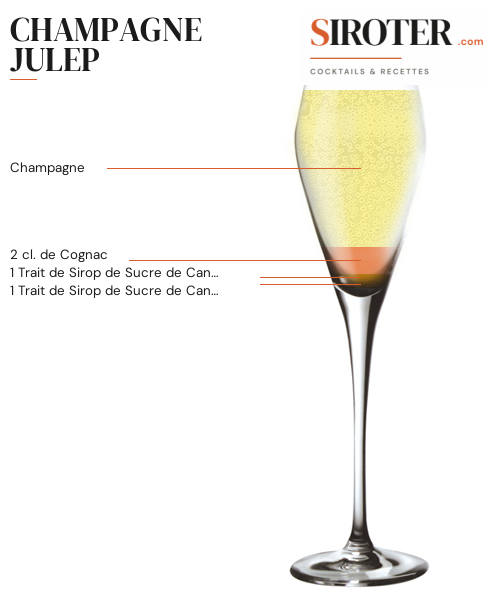 Fiche Cocktail – Champagne Julep