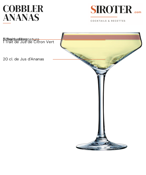 Fiche Cocktail – Cobbler Ananas