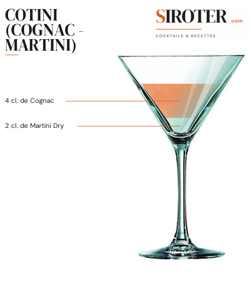 Fiche Cocktail – Cotini (Cognac – Martini)