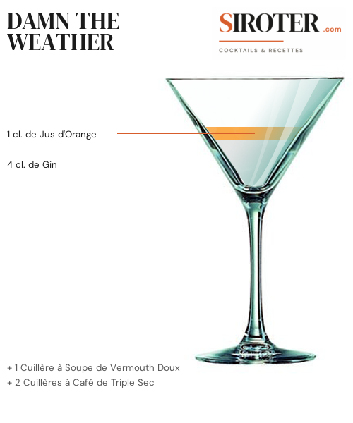 Fiche Cocktail – Damn The Weather