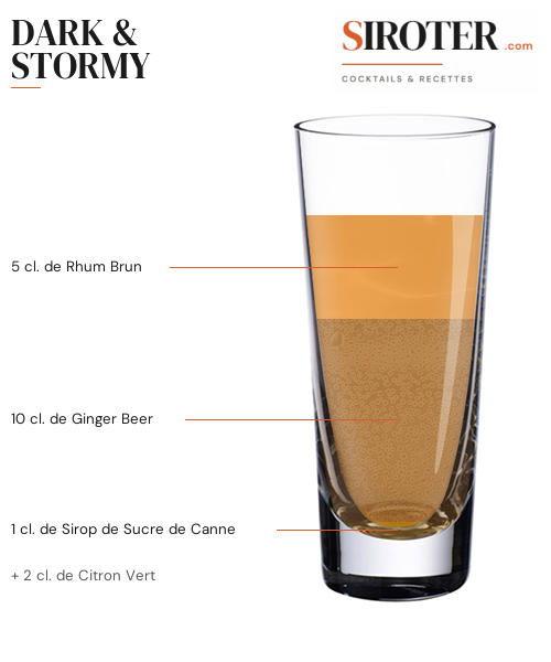 Fiche Cocktail – Dark & Stormy