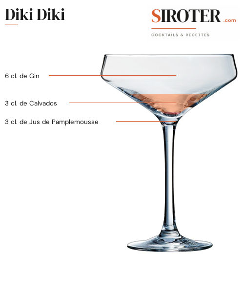 Fiche Cocktail – Diki Diki