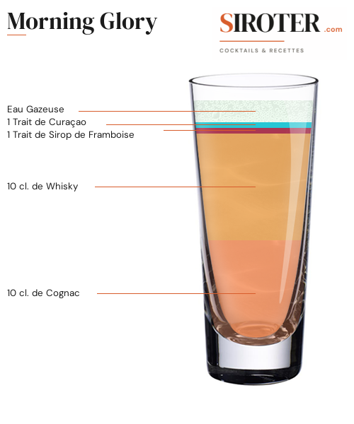 Fiche Cocktail – Morning Glory