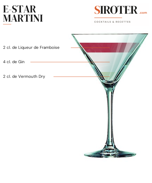 Fiche Cocktail – E Star Martini