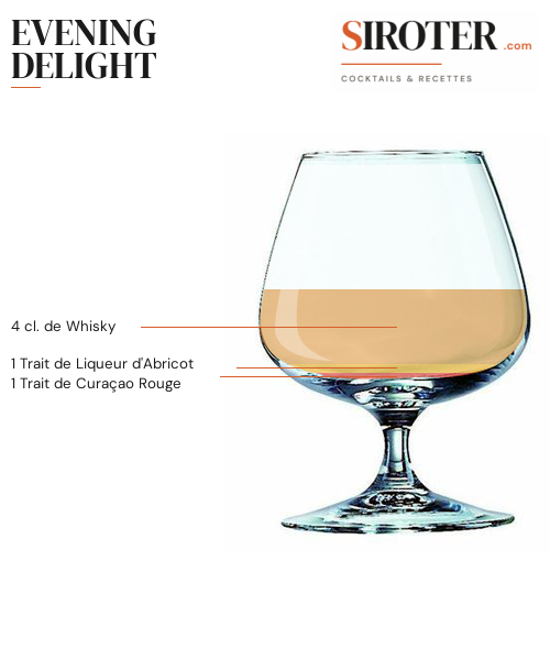 Fiche Cocktail – Evening Delight