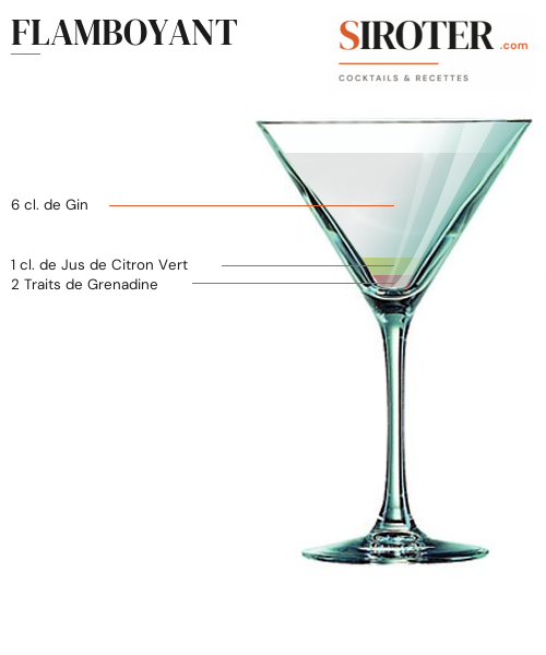Fiche Cocktail – Flamboyant