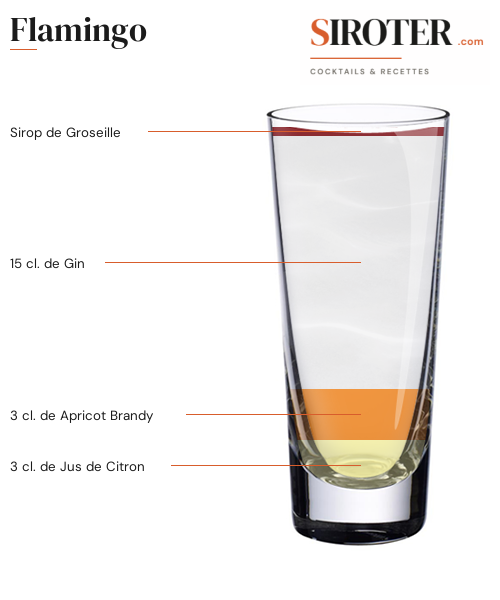 Fiche Cocktail – Flamingo
