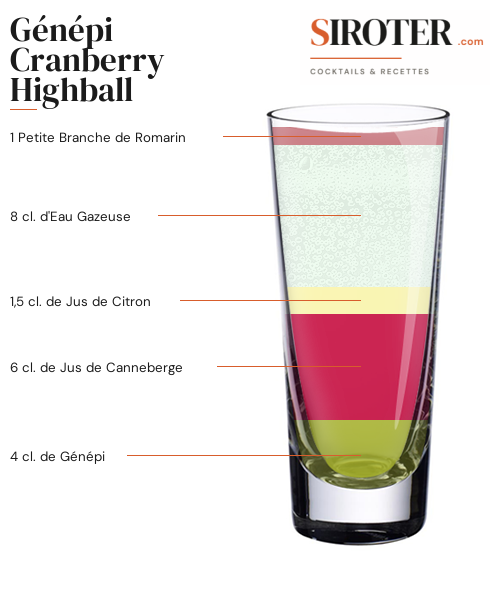 Fiche Cocktail – Génépi Cranberry Highball