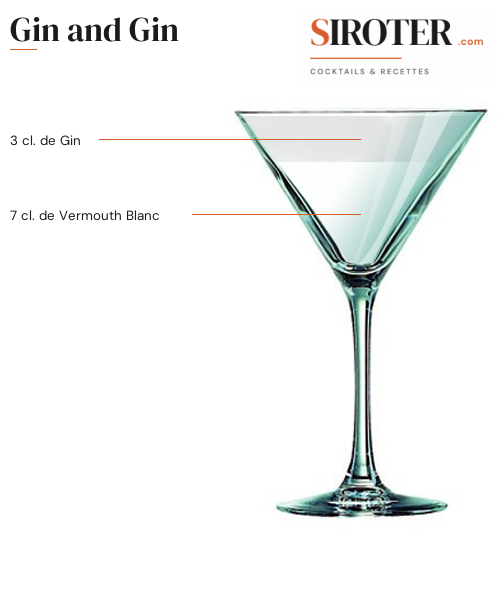 Fiche Cocktail – Gin And Gin