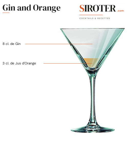 Fiche Cocktail – Gin And Orange